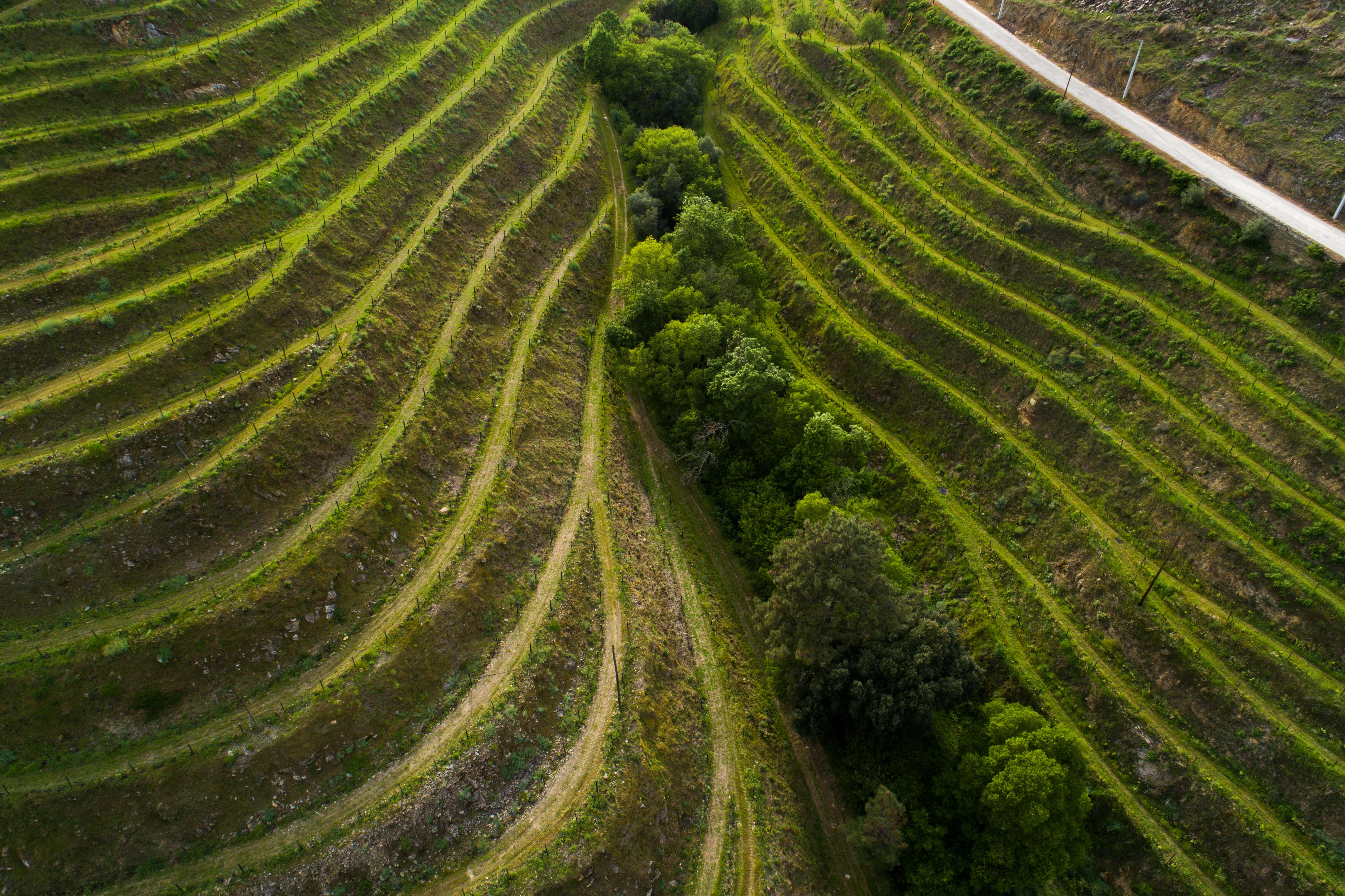 Vila Gale Douro Vineyards Vila Armamar Exterior foto