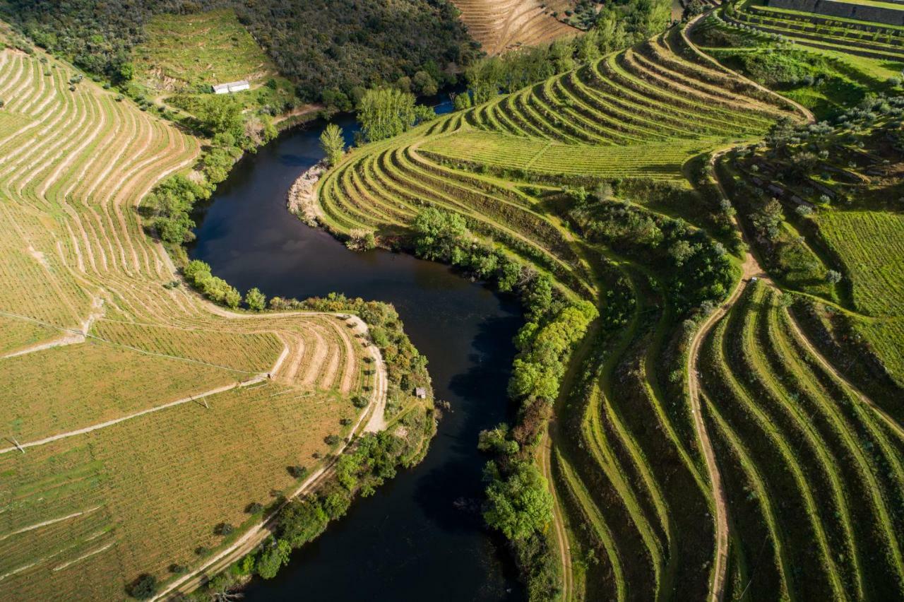 Vila Gale Douro Vineyards Vila Armamar Exterior foto